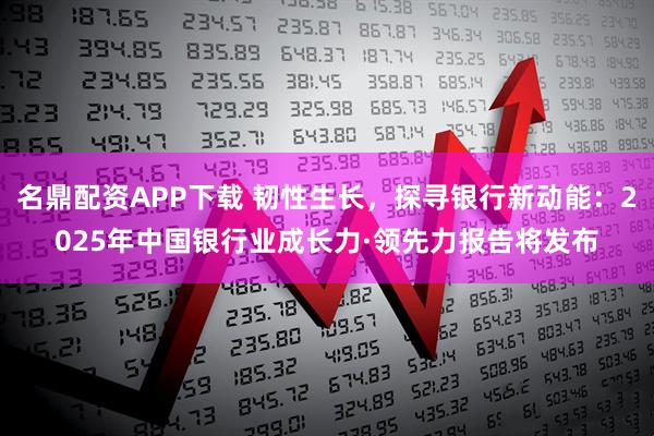 名鼎配资APP下载 韧性生长，探寻银行新动能：2025年中国银行业成长力·领先力报告将发布