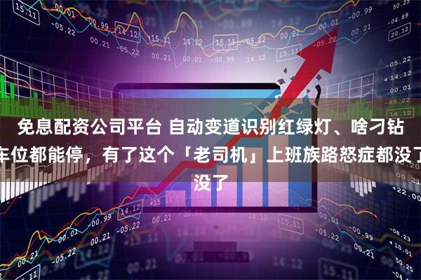 免息配资公司平台 自动变道识别红绿灯、啥刁钻车位都能停，有了这个「老司机」上班族路怒症都没了