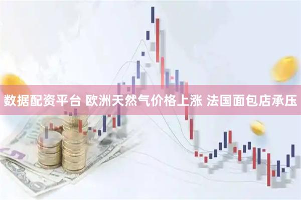 数据配资平台 欧洲天然气价格上涨 法国面包店承压